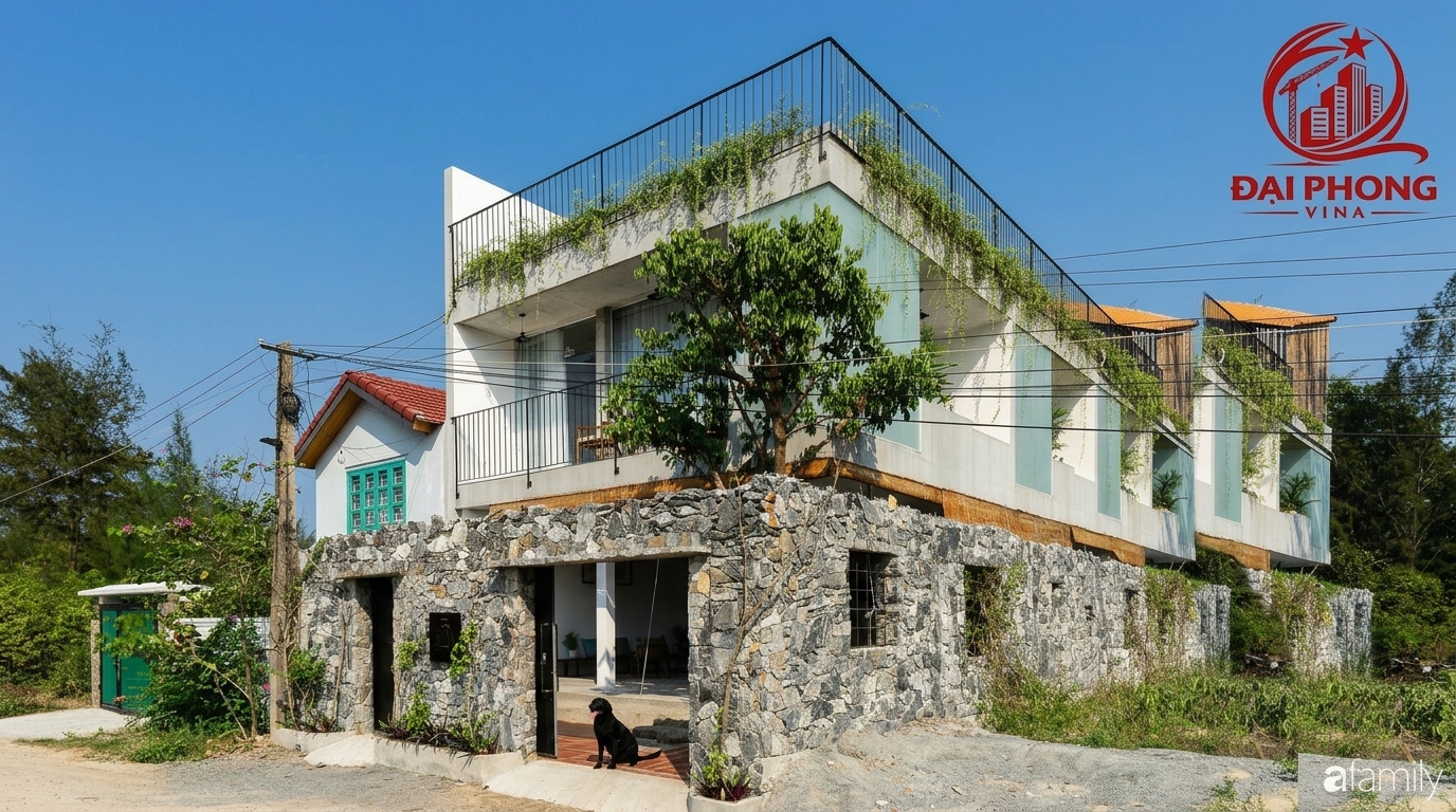 Anh Đức Hoà Bình